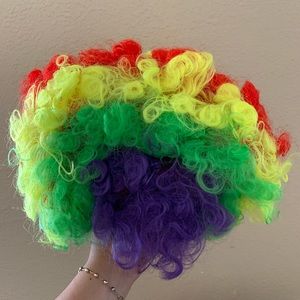 Halloween 🎃- Clown 🤡 Wig